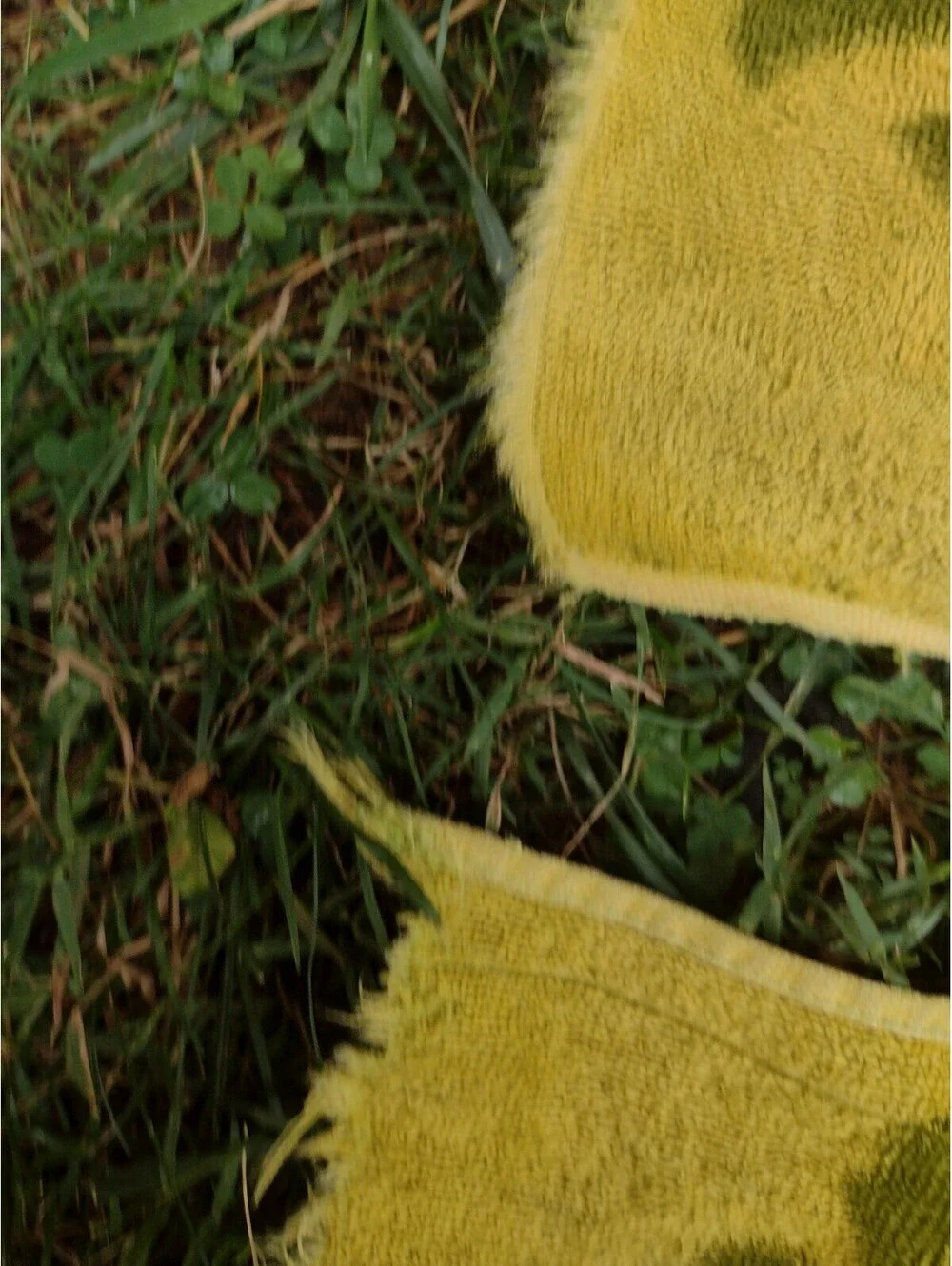 Vintage 60s Cannon Monticello Bath Towels Set 2 Yellow Green Velour Floral USA